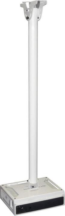 Immagine prodotto Peerless PCASXJMK100-W - Staffa standard Casio (Soffitto)