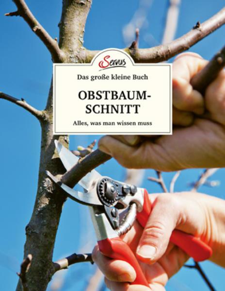Produktbild Das grosse kleine Buch: Obstbaumschnitt (Deutsch, Erwin Palnstorfer, 2022)