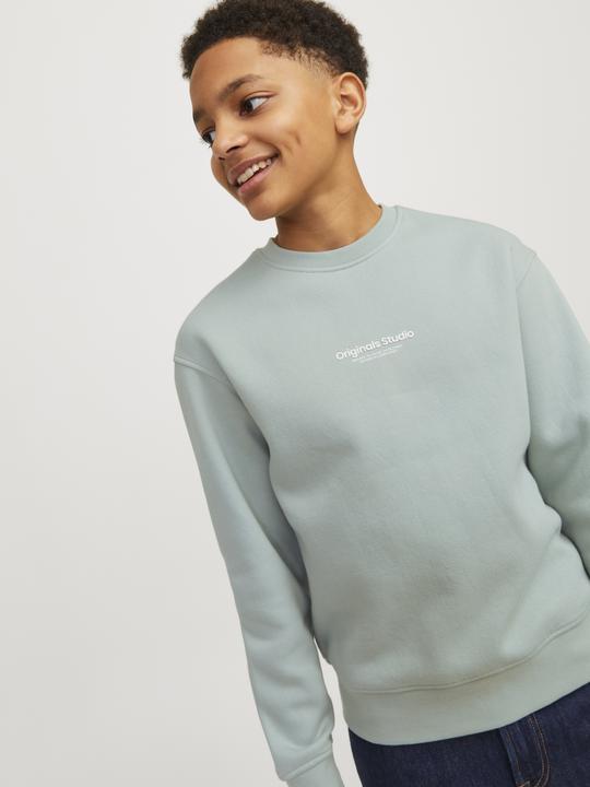 Immagine prodotto Jack & Jones Jorvesterbro Sweat Crew Neck Bn Mni (122)