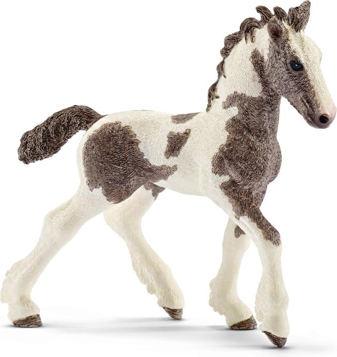 Image du produit Schleich Poulain Tinker