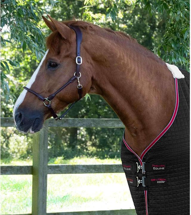 Produktbild Premier Equine Dry-Tech (213 cm)