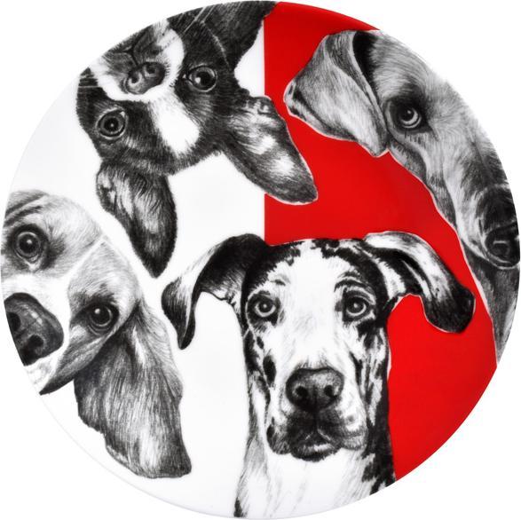 Actual product image Taitù Best Friends Plate Flat Dogs
