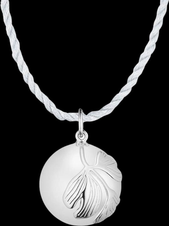 Actual product image Ilado Ginkgo Pregnancy Necklace (Silver-plated brass)