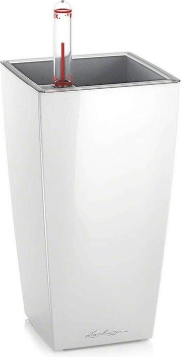 Actual product image Lechuza Mini Cubi (9.50 cm)