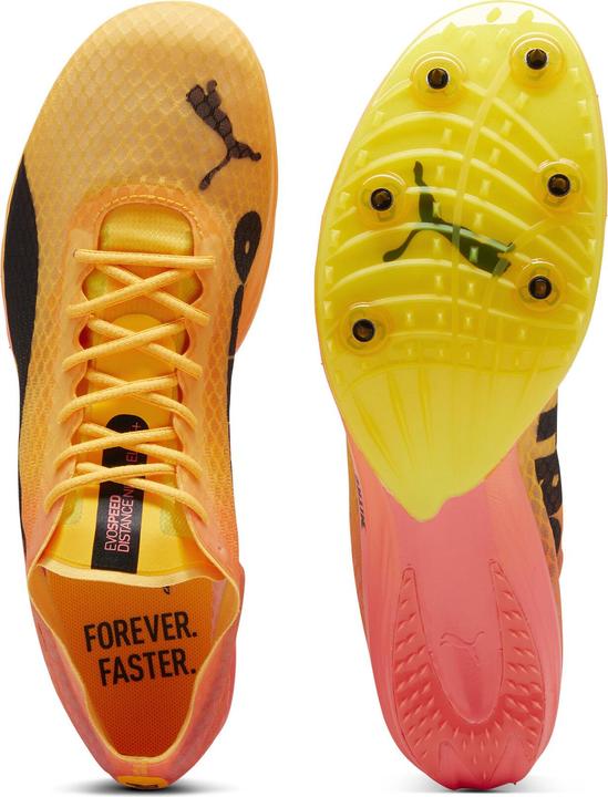 Image du produit Puma evoSPEED Distance Nitro Elite+ 4 (47)