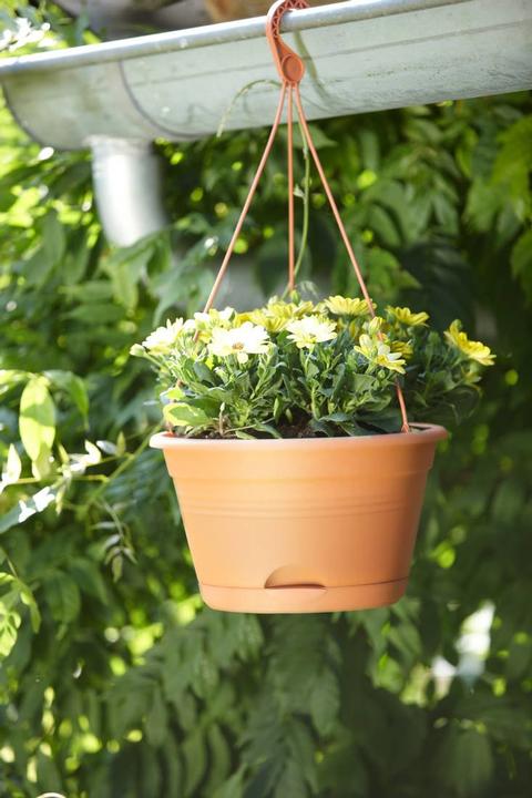 Produktbild Elho Green Basics Hängeampel (27.80 cm)