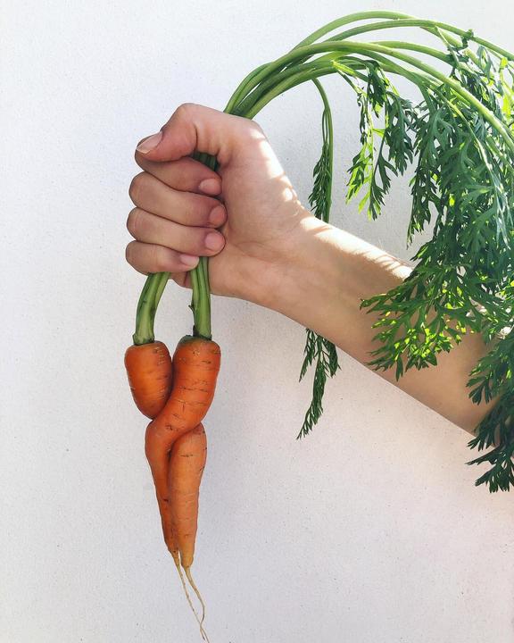Immagine prodotto Living Seeds Carota, Nantes 2 (Semi di verdura)