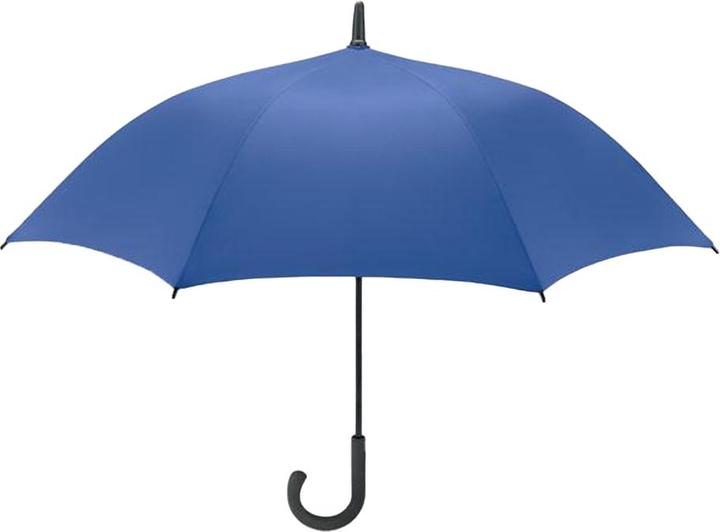 Bleu roi