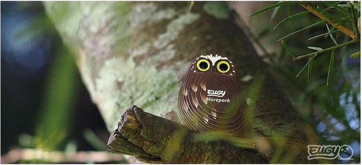 Actual product image Eugy Owl