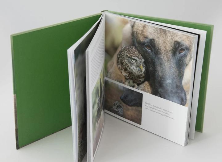 Image du produit Wo die Liebe hinfliegt (Allemand, Tanja Brandt, 2016)