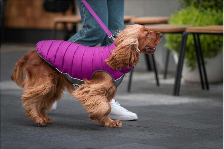 Produktbild Red Dingo Hundemäntelchen Puffer Rosa/Lila 30 cm (30, Hundemantel)