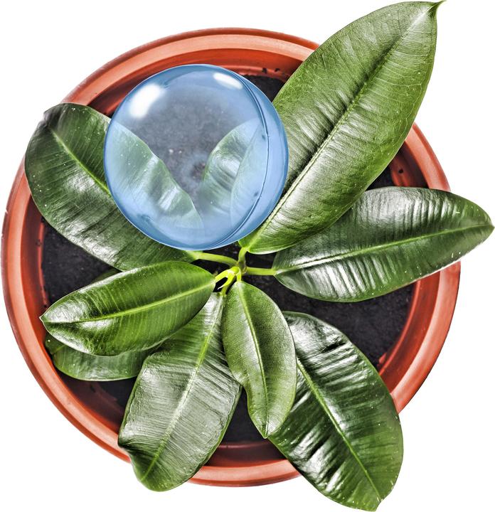 Immagine prodotto Relaxdays 5x palla per irrigazione (Palline per l'irrigazione)