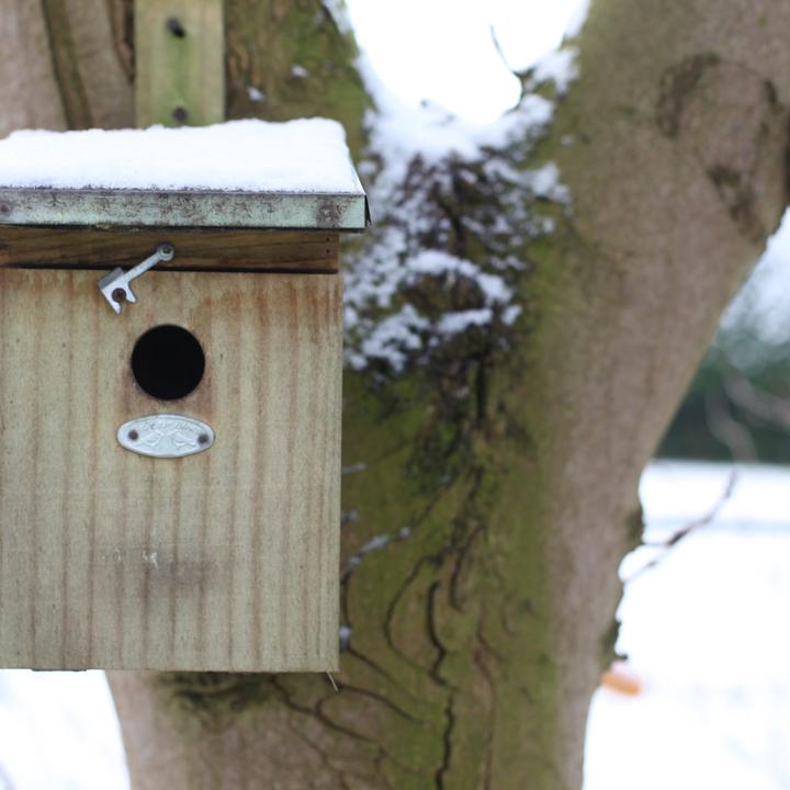 Image du produit Westfalia Nichoir pour oiseaux, mésanges