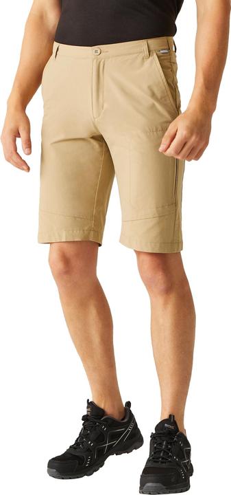 Image du produit Regatta - Short de marche HIGHTON - Homme (44 D)