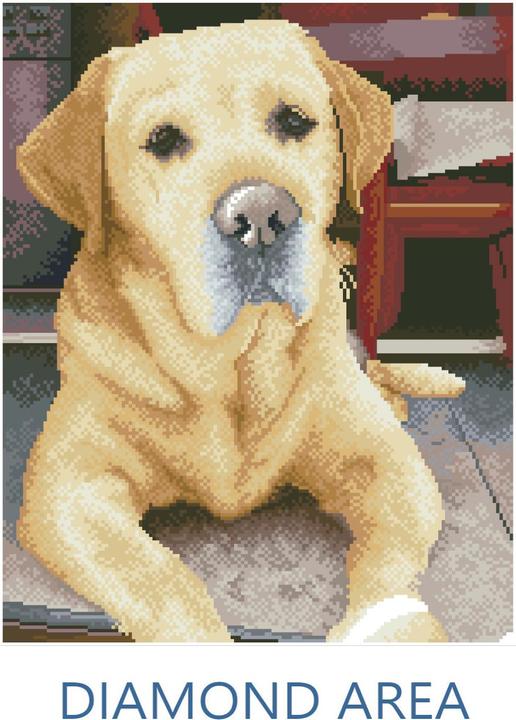 Actual product image Diamond Dotz Squares Original Diamond Painting Set Labrador "KING" 40 x 50 cm, 28,200 square