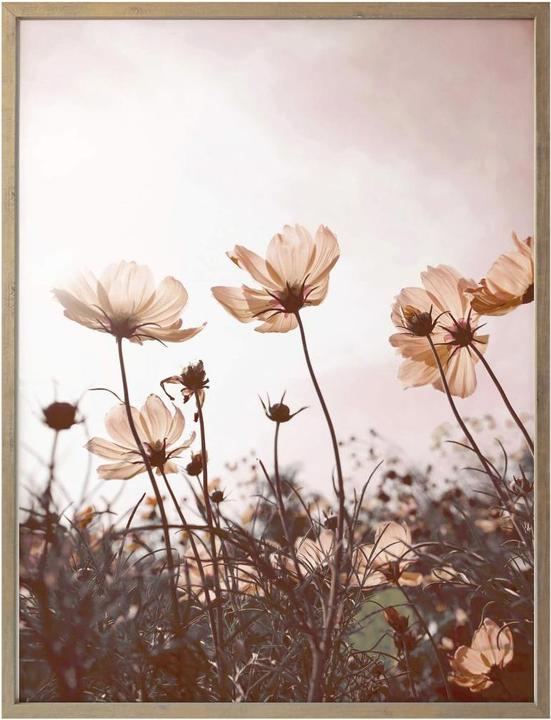 Actual product image Trenddeko Wild meadow (40 x 50 cm)