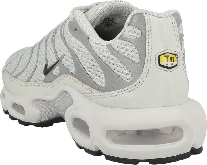 Actual product image Nike Air Max Plus (42.5)