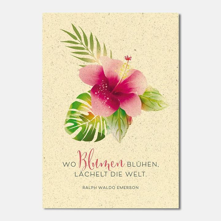 Produktbild Motivkarte Blumen 17.5 x 12.2 cm, Papierformat: 17.5 (1 Stk.)