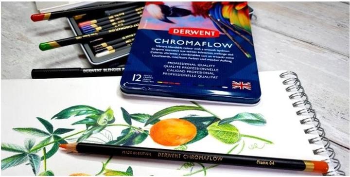 Image du produit Derwent Crayons de couleur Chromaflow (Rose Fard à Joues, Flamand, Brun Naturel, Écarlate, herbe verte, Denim, Jaune soleil, Bleu, Basilic, Noir, Lilac, Blanc, 12 x)
