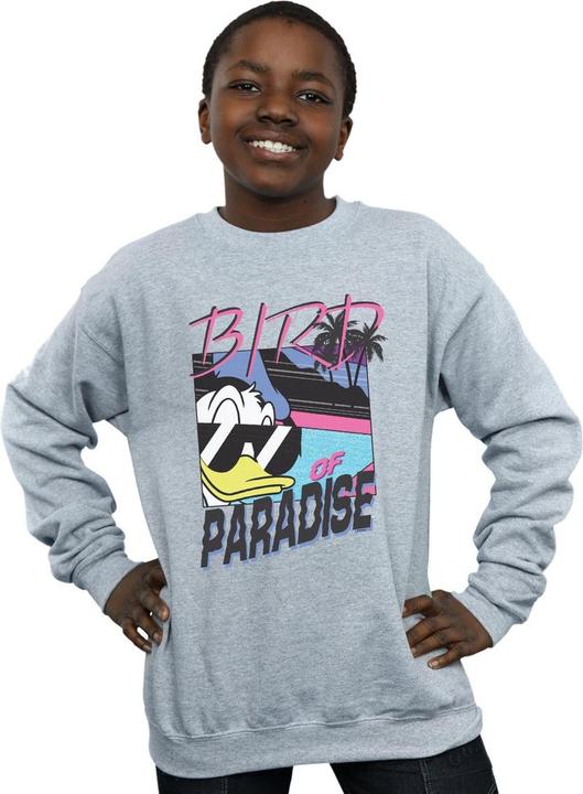 Actual product image Disney Boys Donald Duck Bird Of Paradise Sweatshirt (152, 158)