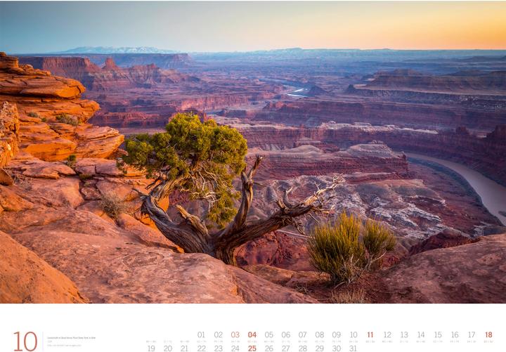 Actual product image Planet Earth - Gallery Kalender 2026 (66 x 50 cm, Hardcover, German, English)