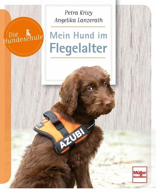 Produktbild Mein Hund im Flegelalter (Deutsch, Petra Krivy, 2018)