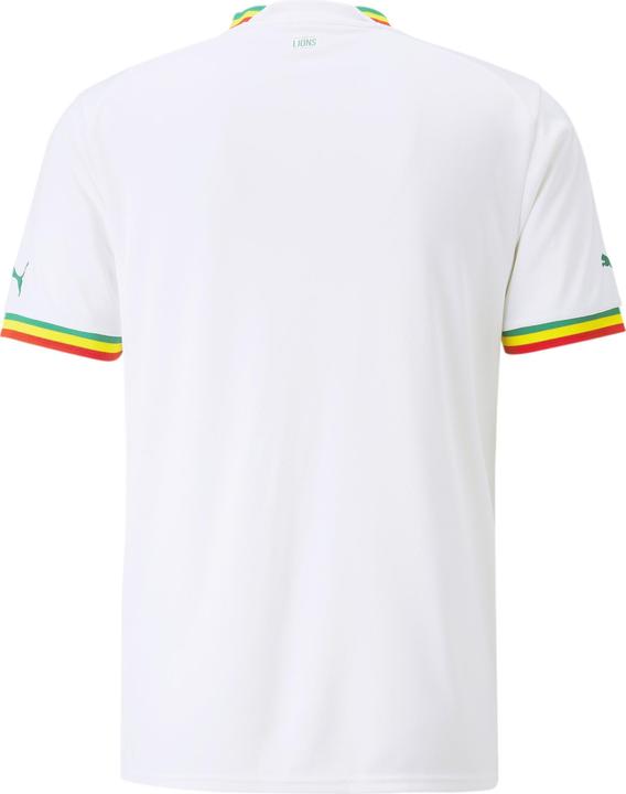 Image du produit Puma FSF Home Jersey Replica (XL)