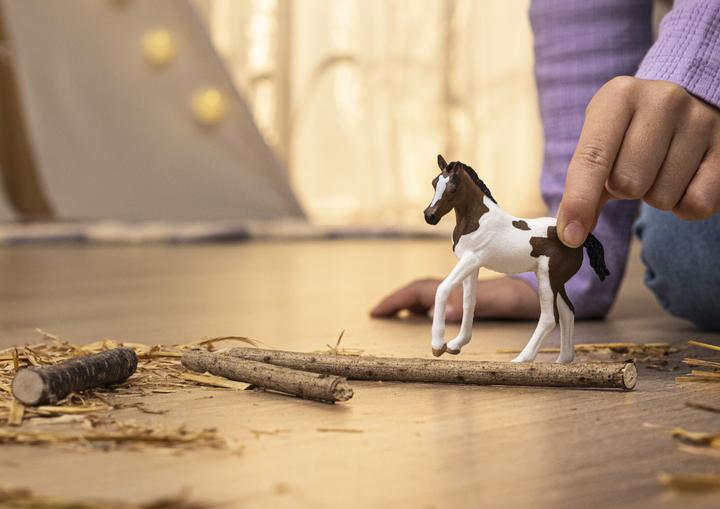 Actual product image Schleich Paint Horse Foal