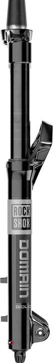 Image du produit RockShox Isolateur Domain Gold RC3 (170 mm, Air)