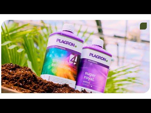 Produktbild Plagron Green Sensation (4.95 kg, 5 l)