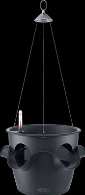 Lechuza Cascadino All in One hanging basket