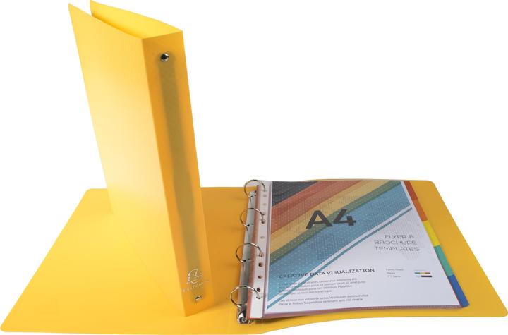 Produktbild Exacompta Ringbuch A4 PP 4-Ring 30mm Rücken 40mm (A4, 40 mm, 1 Stück)