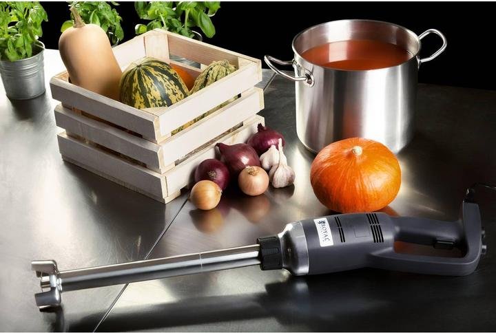 Actual product image Royal Catering Hand blender - 350 W - 400 mm - 4,000 to 16,000 rpm