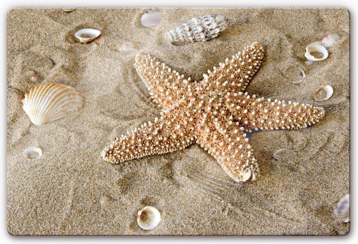 Image du produit Trenddeko Patrick l'étoile de mer (60 x 40 cm)