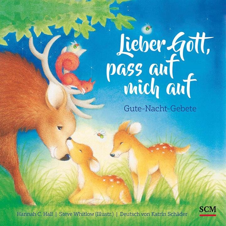 Actual product image Dear God, take care of me (German, Hannah C. Hall, 2021)