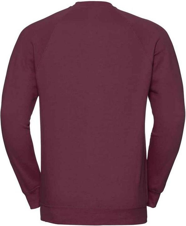 Immagine prodotto Russell Spotshield Felpa Raglan Uomo (M)