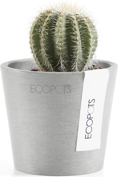 Image du produit Ecopots Amsterdam Mini (8 cm)