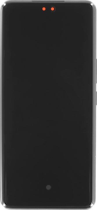 OEM Display + Rahmen für Honor 200 Pro schwarz (Display)