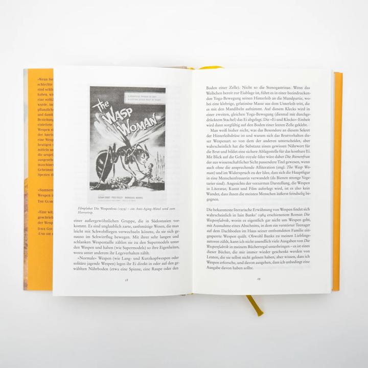 Image du produit Wespen – Eine Versöhnung (Allemand, Andrea Schmittmann, Seirian Sumner, 2023)
