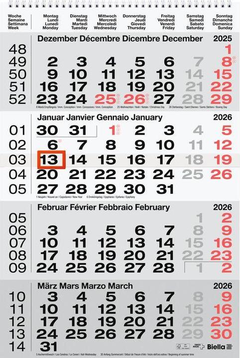 Immagine prodotto Biella Calendari con visualizzazione di 4 mesi (31 x 47 cm)