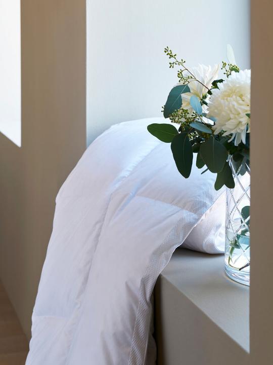 Immagine prodotto Tempur Luce di lusso (600 g, 160 x 210 cm)