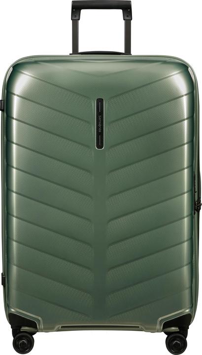 Basil green