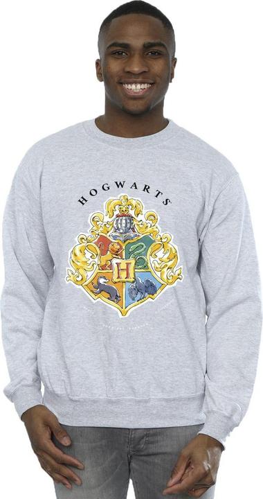 Image du produit - Sweat HOGWARTS SCHOOL EMBLEM - Homme (XL)
