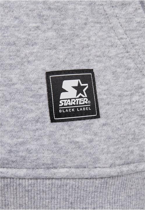 Actual product image Starter Two Color Logo Hoody (S)