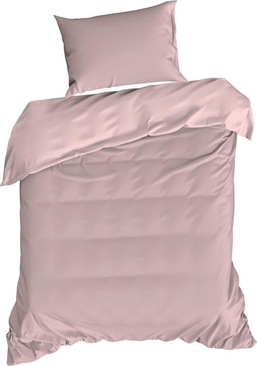 Pulver rosa