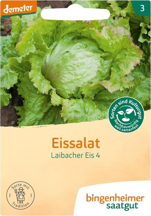 Immagine prodotto Bingenheimer Saatgut Lattuga Iceberg Gelato Laibacher (Germogli)