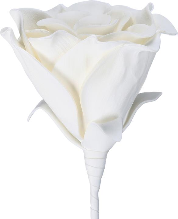 Produktbild EGLO LIVING Molave (65 cm)