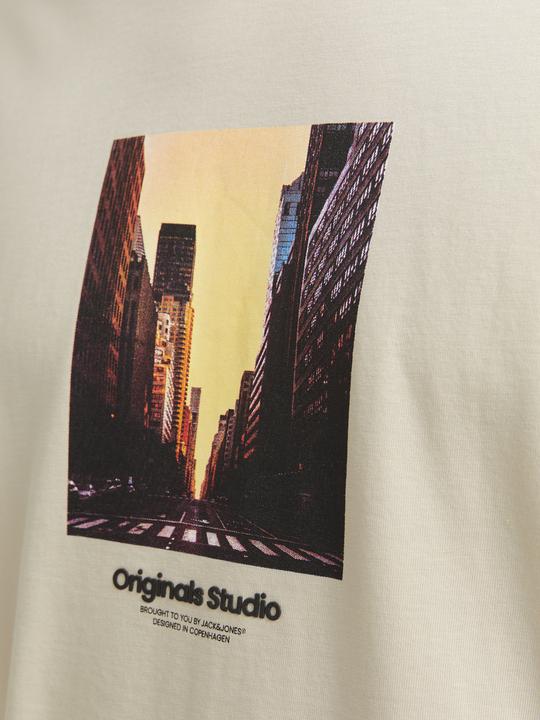 Actual product image Jack & Jones Jorvesterbro Picture Tee Ss Crew Neck Sn (L)