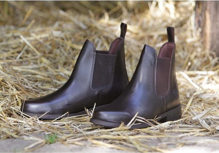 Immagine prodotto Harry's Horse Saint (31)