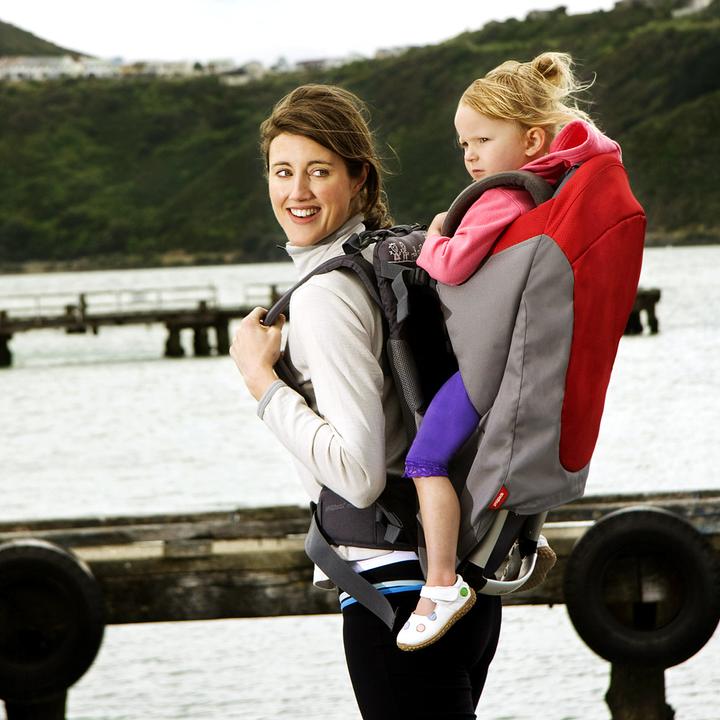 Actual product image Phil & Teds Metro back carrier